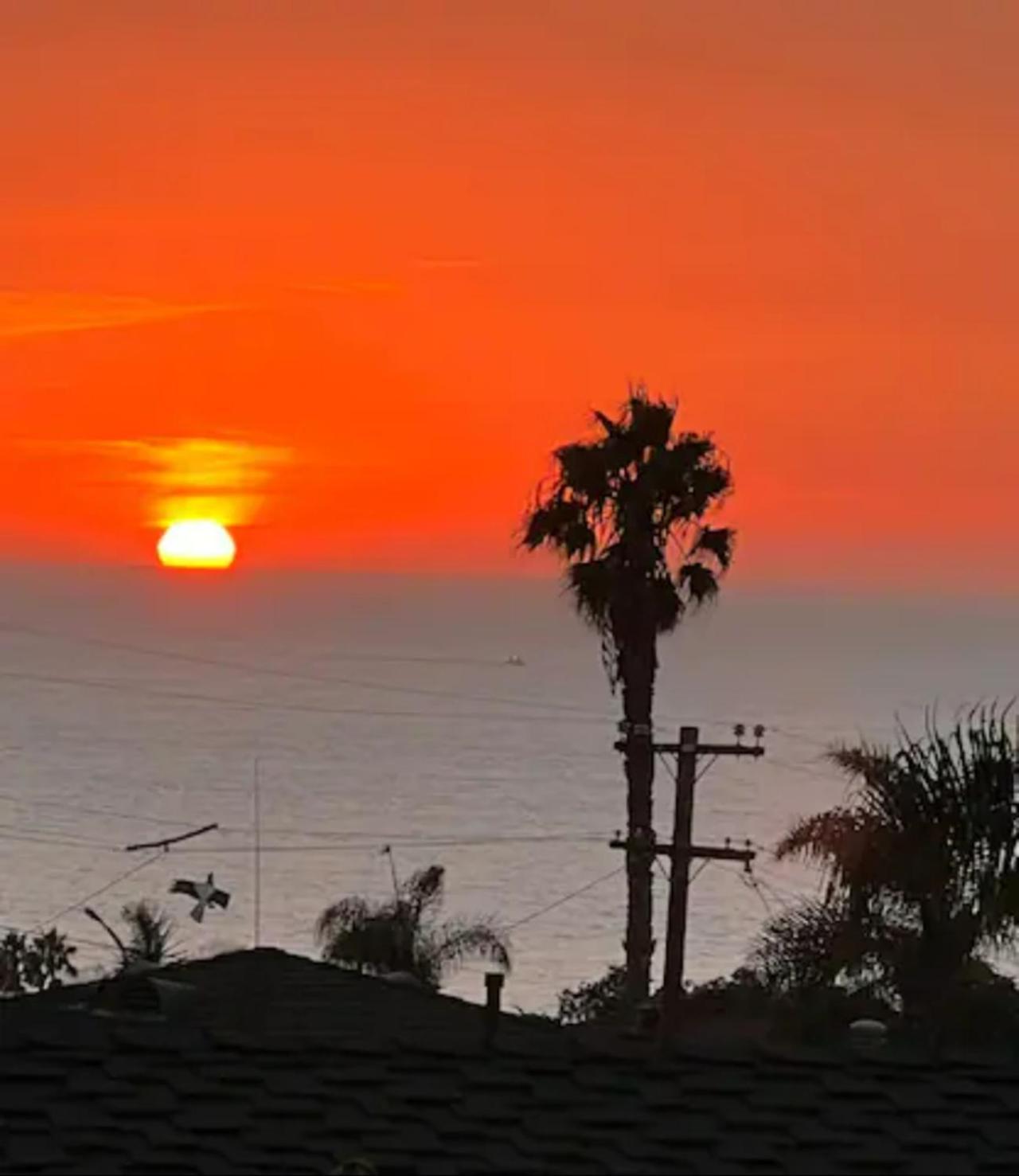 Contemporary Ocean Sunset Views With Firepit Pt Loma Close To Plnu San Diego Dış mekan fotoğraf